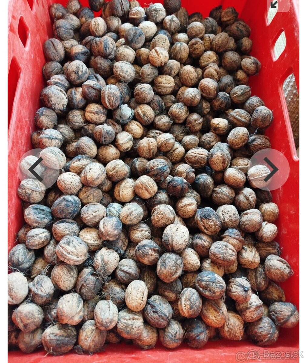 Dobry den predam - 2