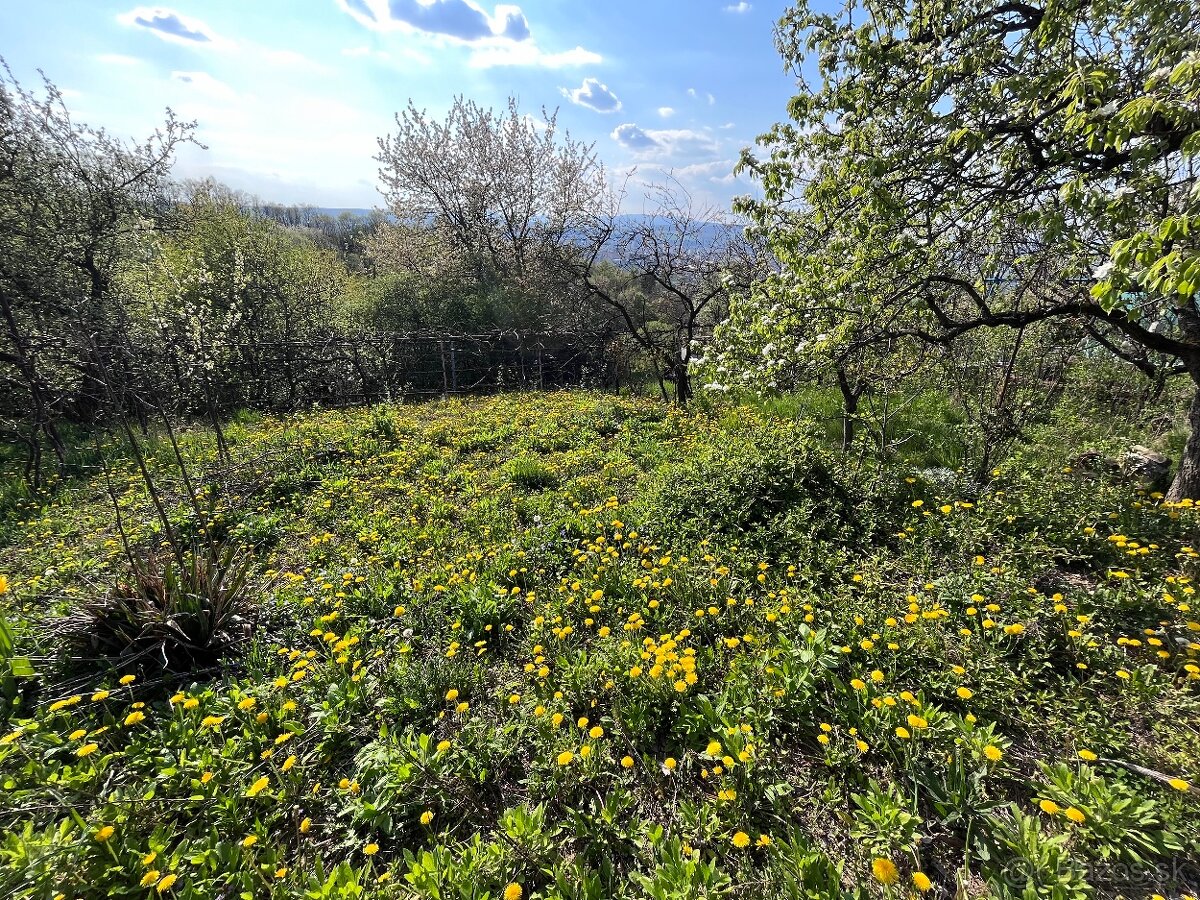 nadherna zahrada HERINGEŠ - 2