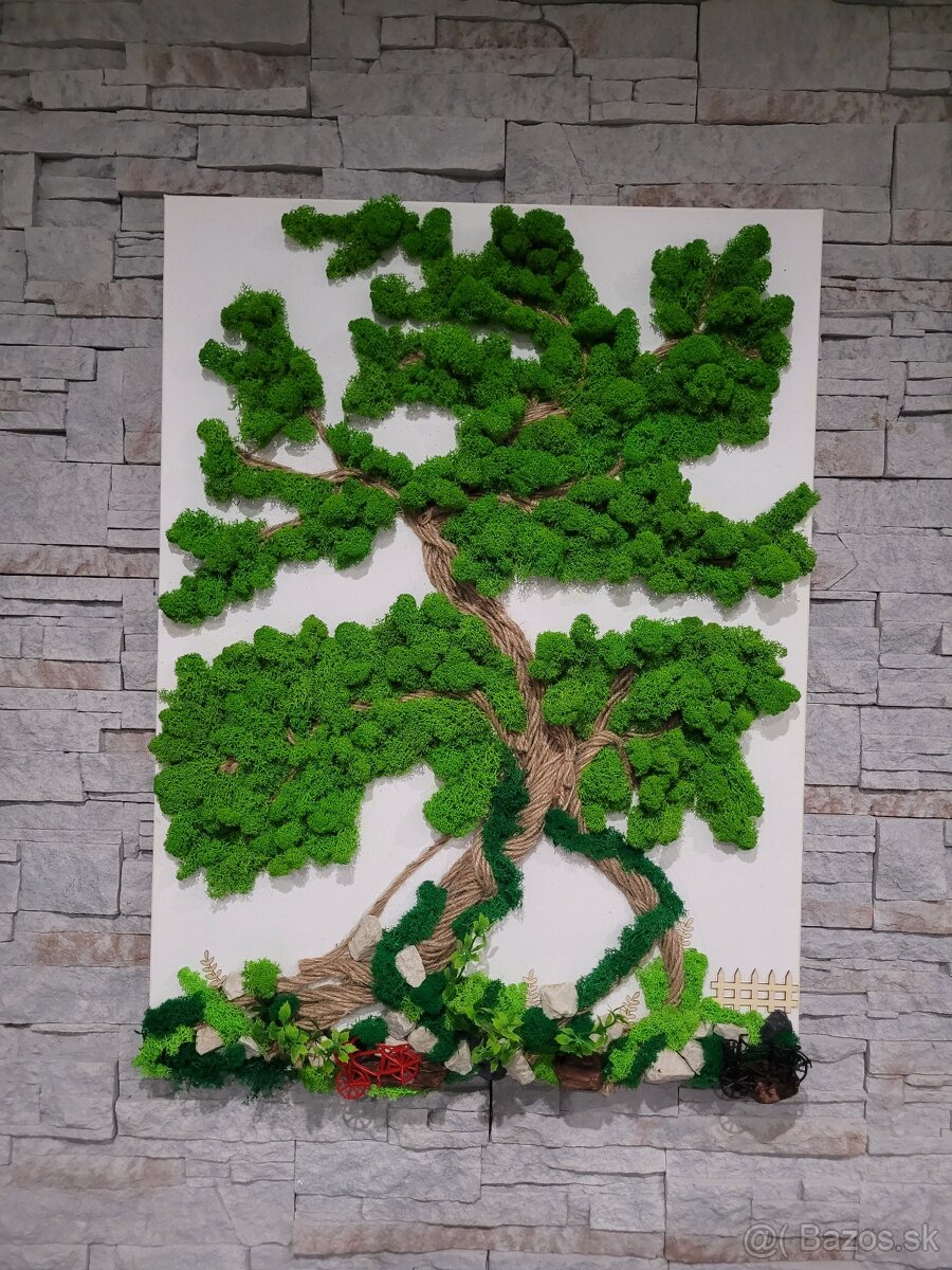 Machovy obraz na plátne - 2