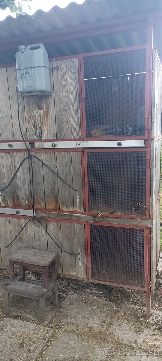 Zajačnik králikareň - 2