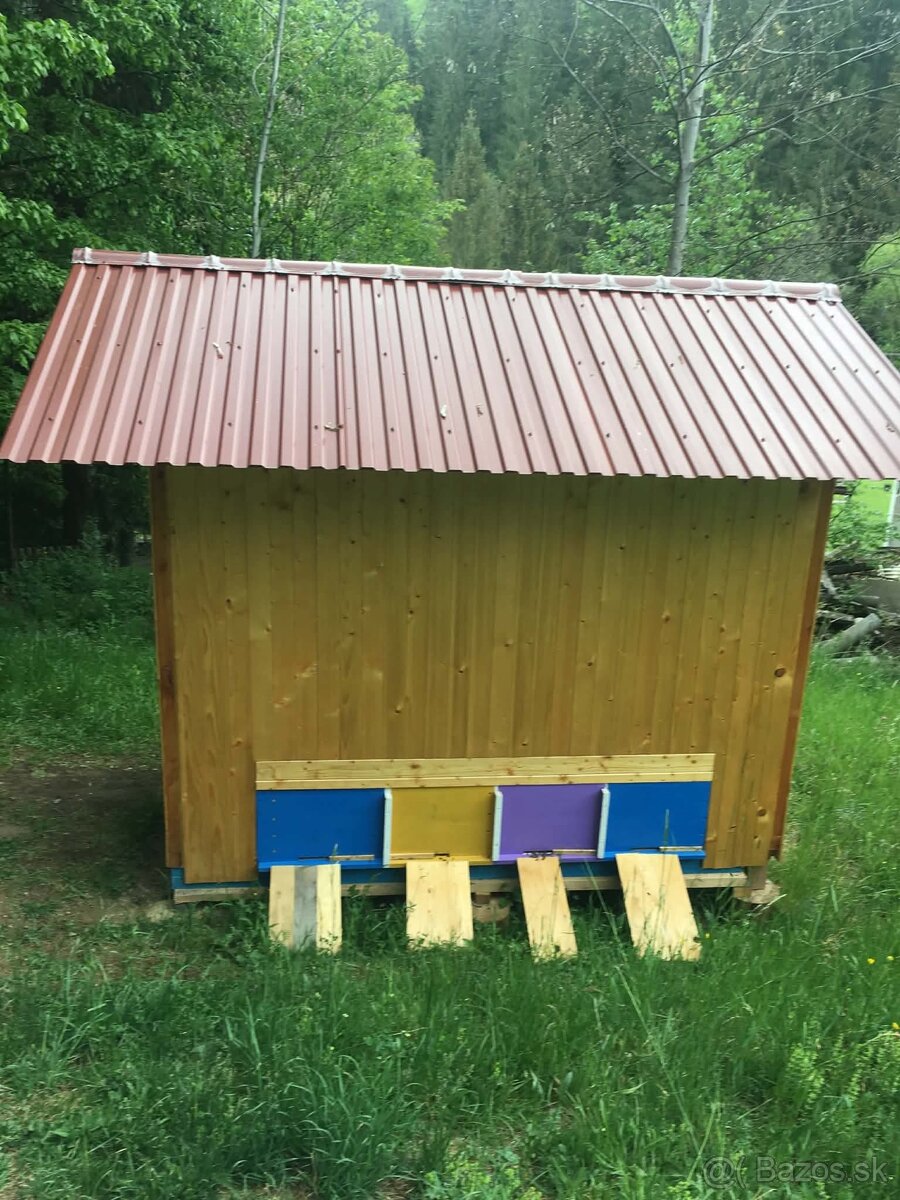 Apidomček so 4 úľmi (typ Dadant) - 2