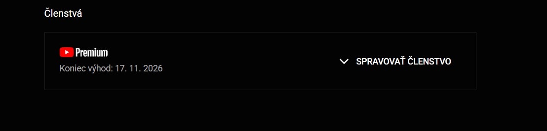 YouTube PREMIUM 12/24 M (AKCIA) - 2