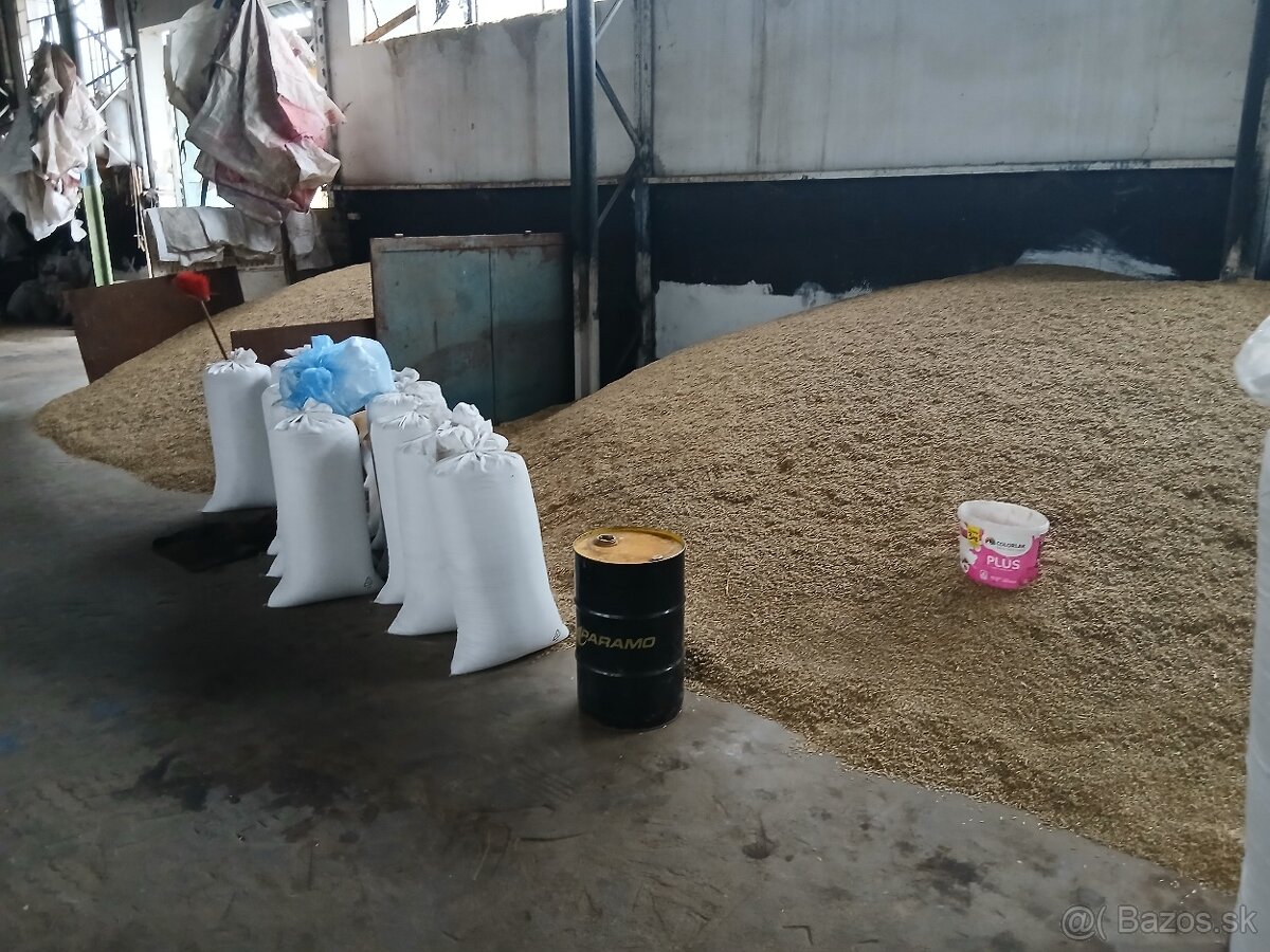 Predam jacmen, psenicu, ovos s dovozom. - 2