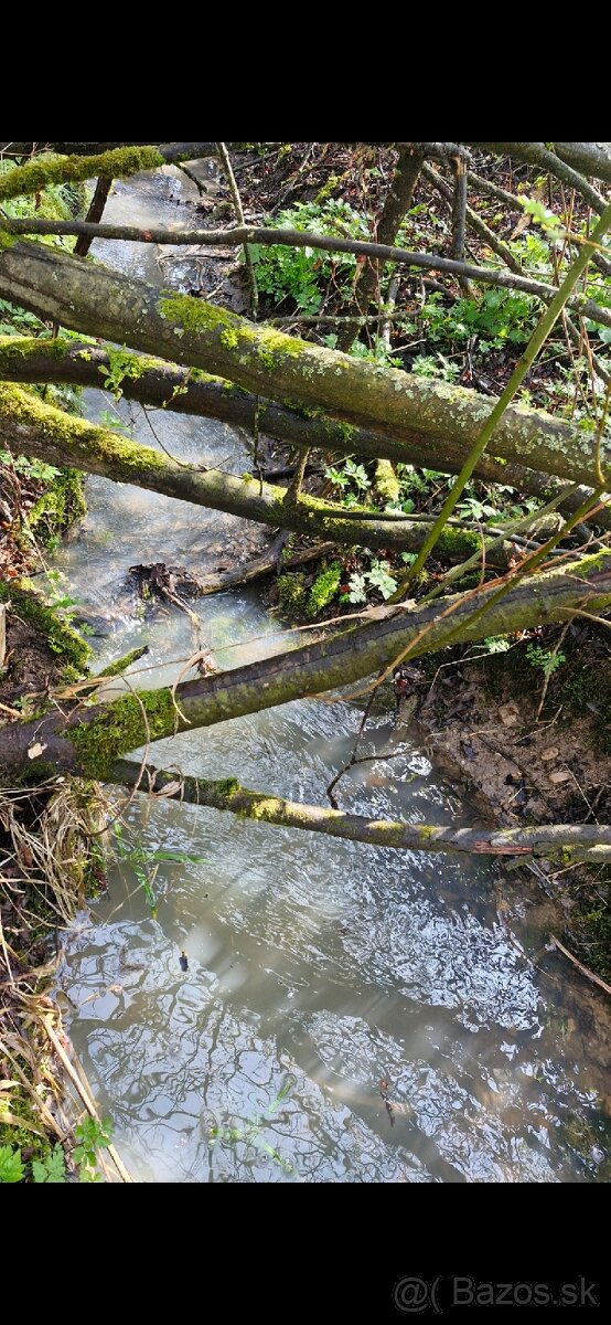 Pozemok Trstena orná pôda 2583m2 - 2