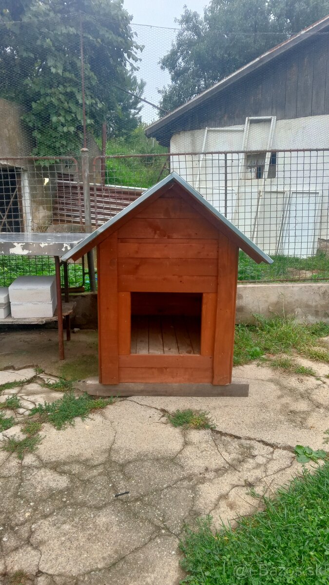Búda pre psa. - 2