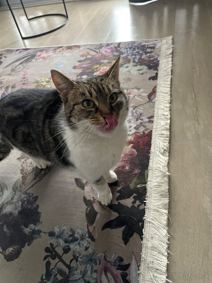 Darujem do dobrych ruk - 2