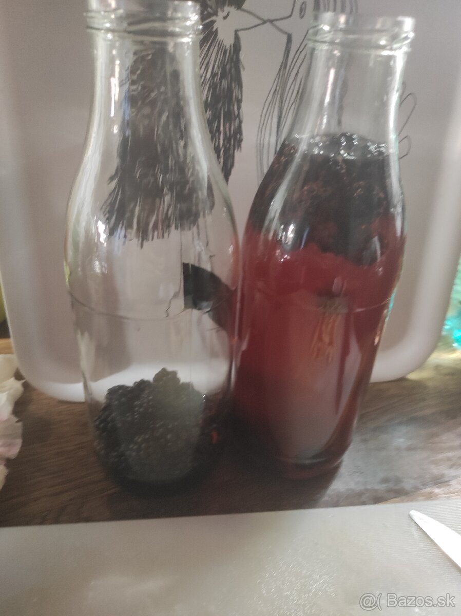 Kombucha - 2