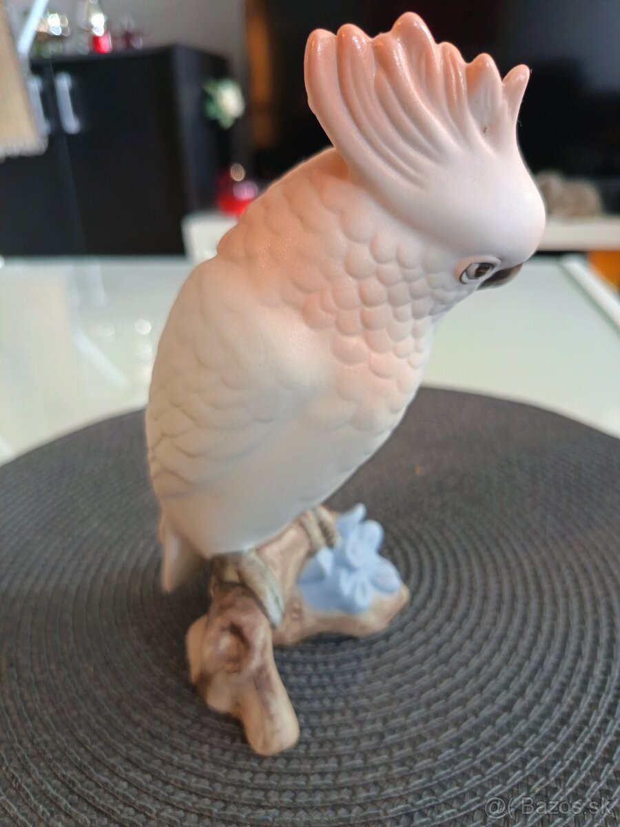 Papagáj Kakadu Royal dux - 2