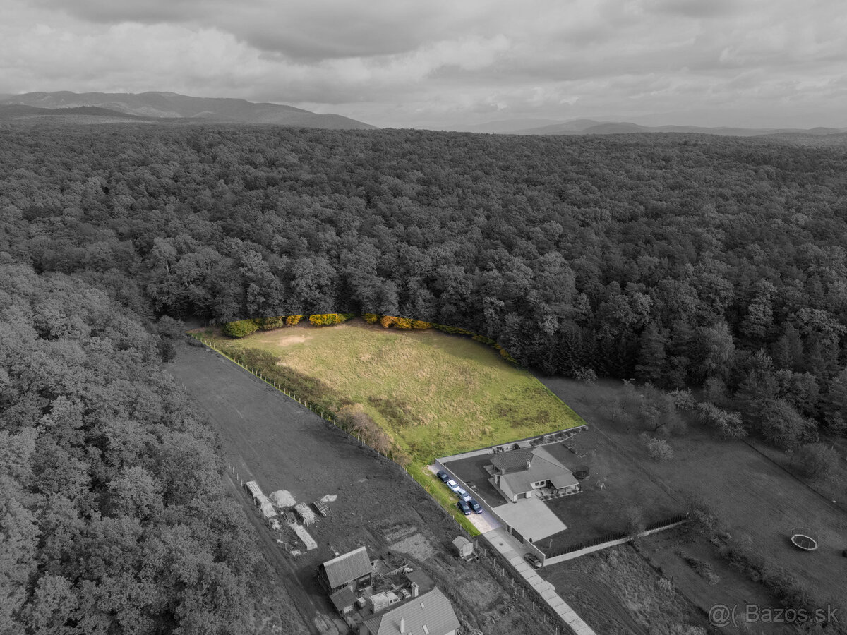 Lukratívna ponuka pozemku v obci Brezolupy 8040m2 - 2