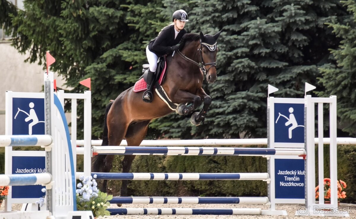 6 ročná kobyla - Madlen RUF - 2