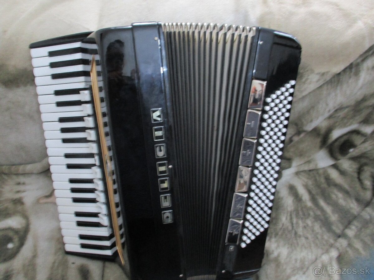 harmonika delicia - 2