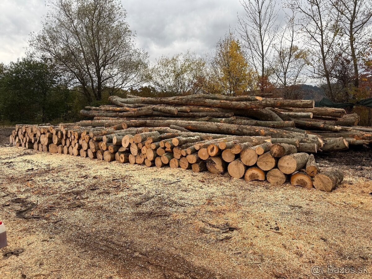 Palivové drevo - 2