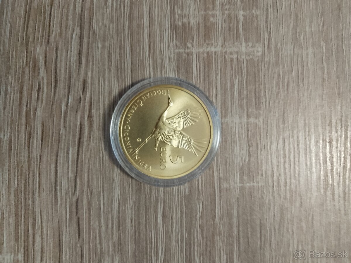 Autorská karta Bocian čierny - 2