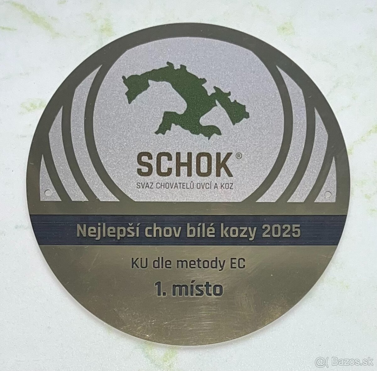 Česká bílá krátkosrstá koza. - 2