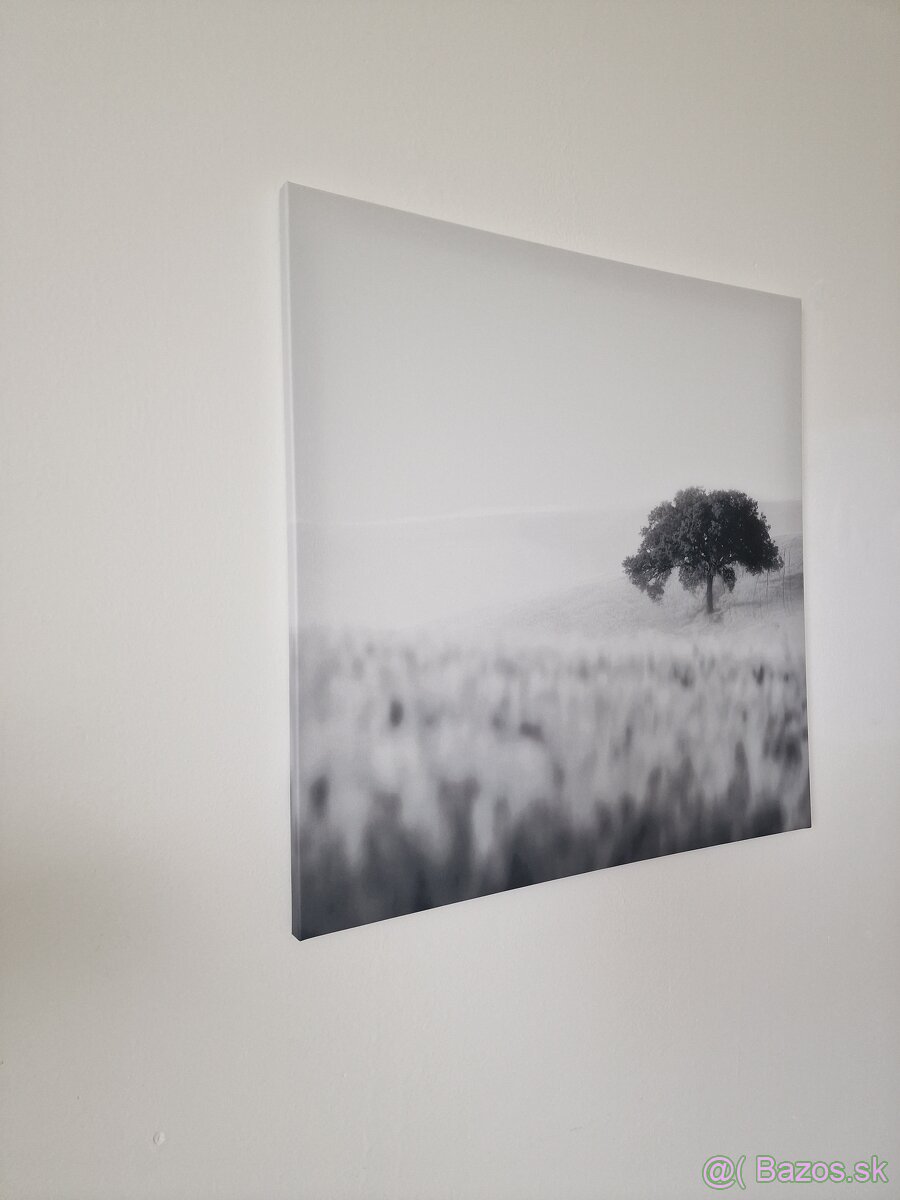 Obraz na platne - 2