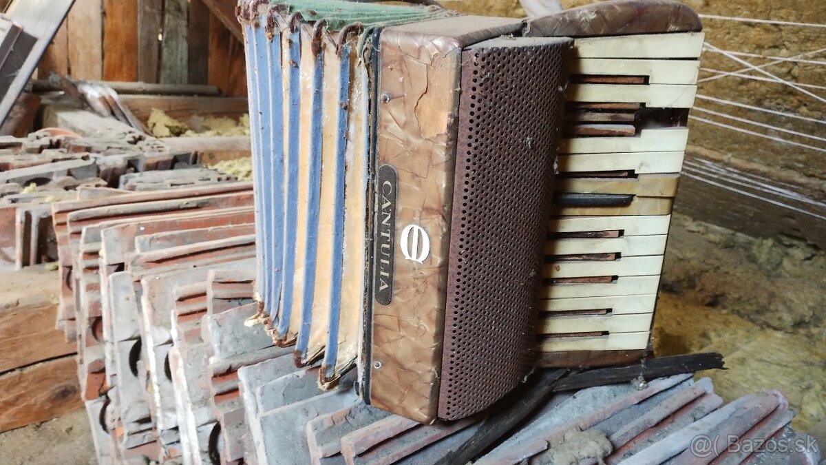 Heligonka Cantulia pre zberatela - 2