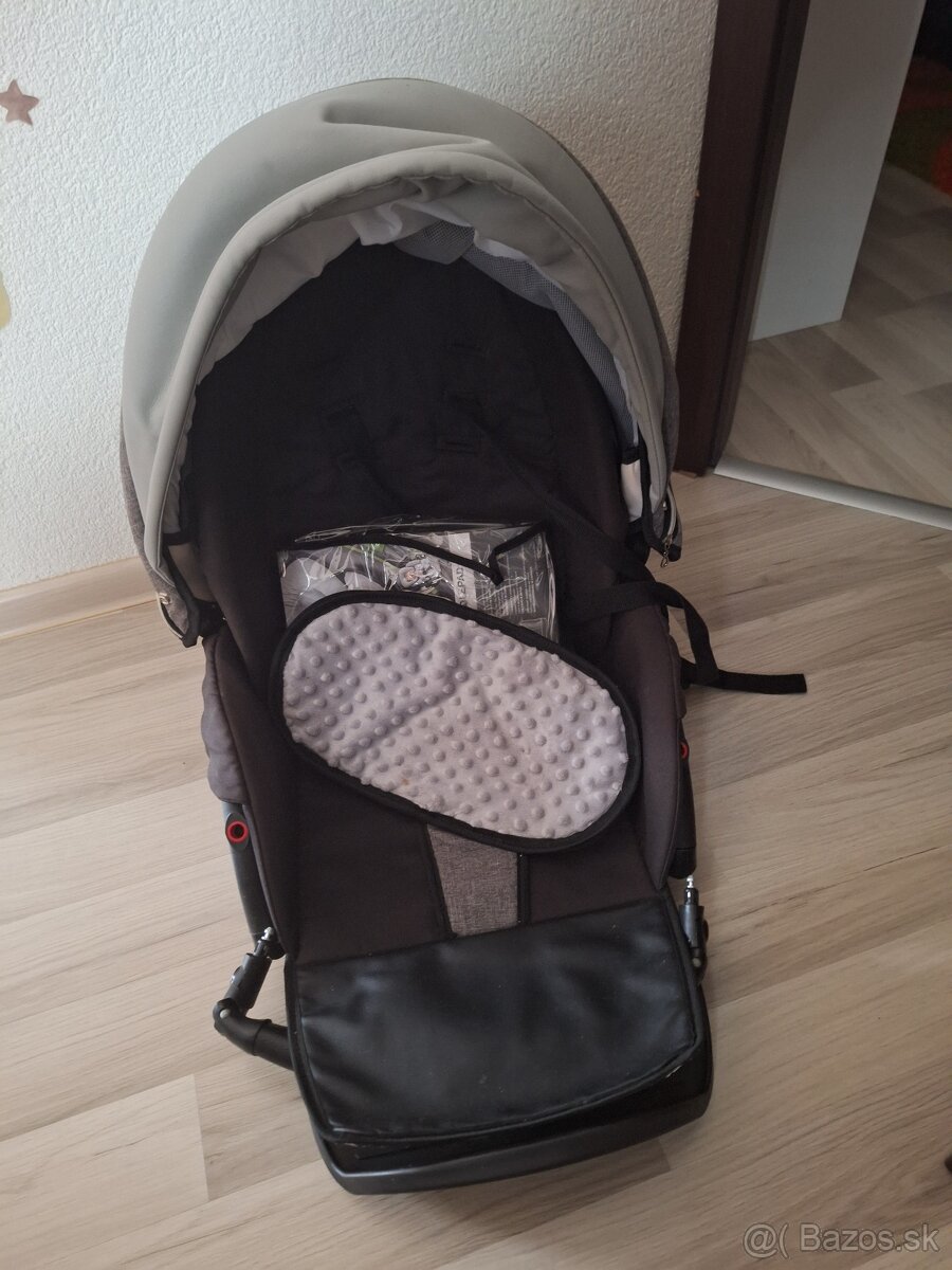 Predam kočik lacno - 2