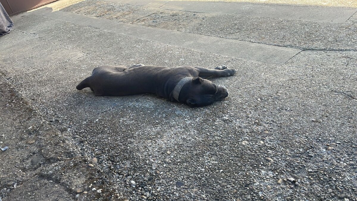 Darujeme fenku cc - 2