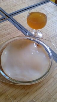 Kombucha - 2