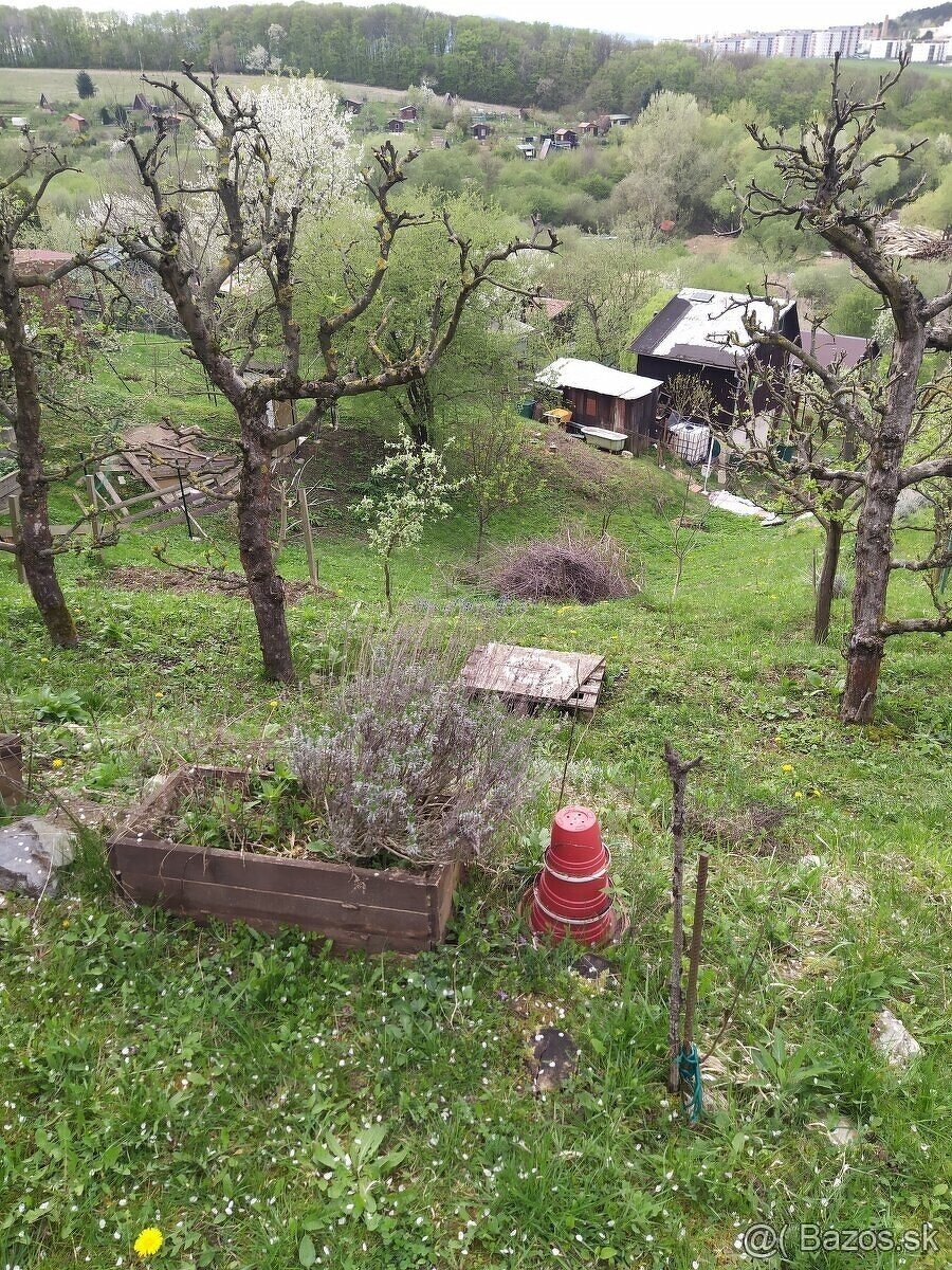 Zahrada Trenčín sídlisko Juh Chrast - 2
