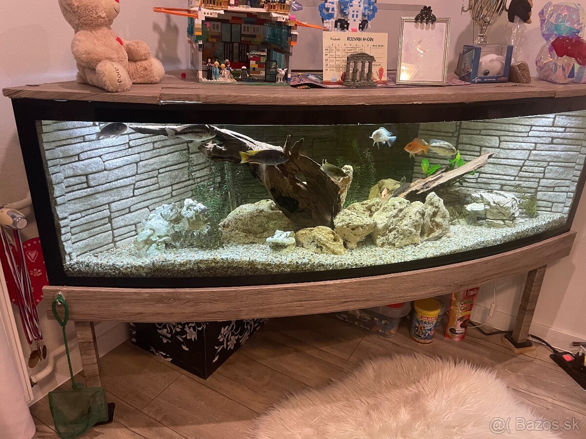 Veľké rohové akvárium - 2