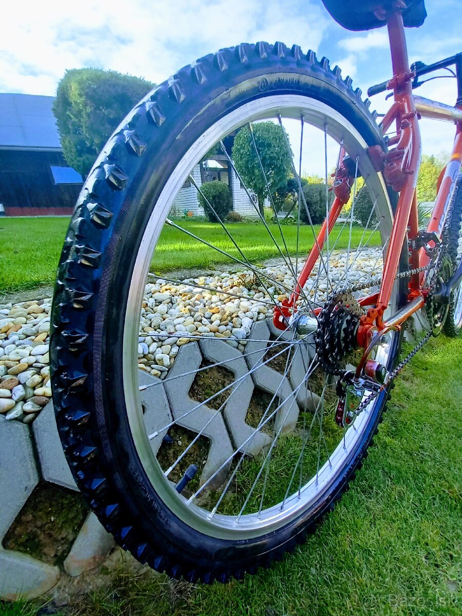 Horský bike Vector - 2