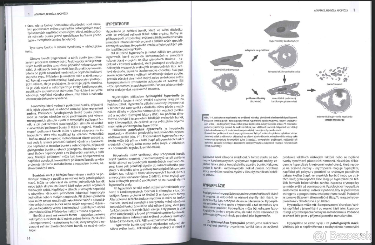 Knihy, učebnice na Medicínu PDF formát - 2