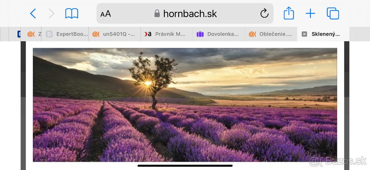 Obraz v skle Levandule - 2