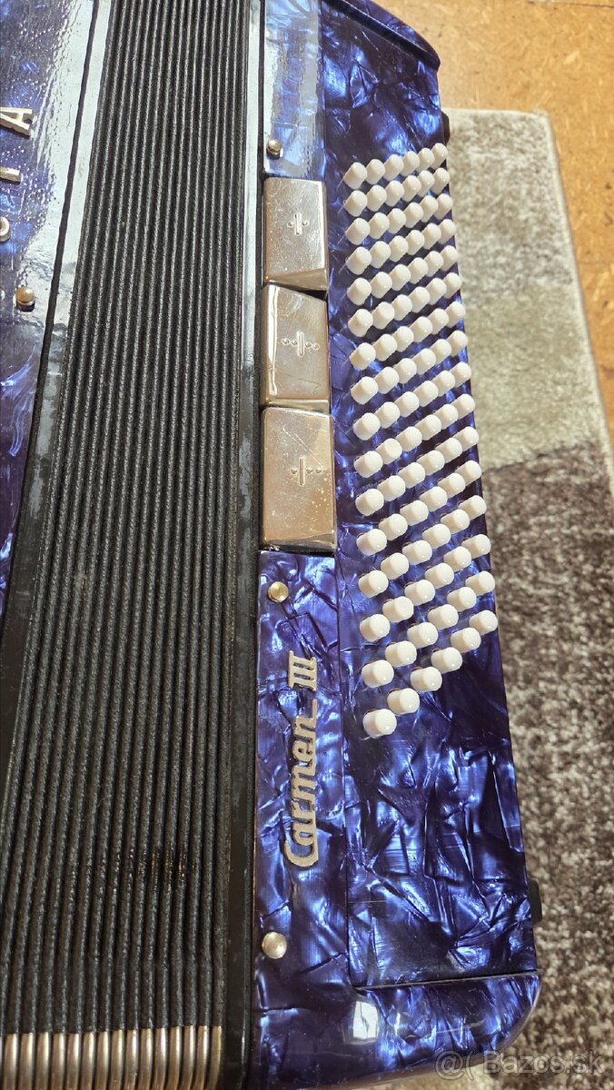 Delicia Carmen III - 2