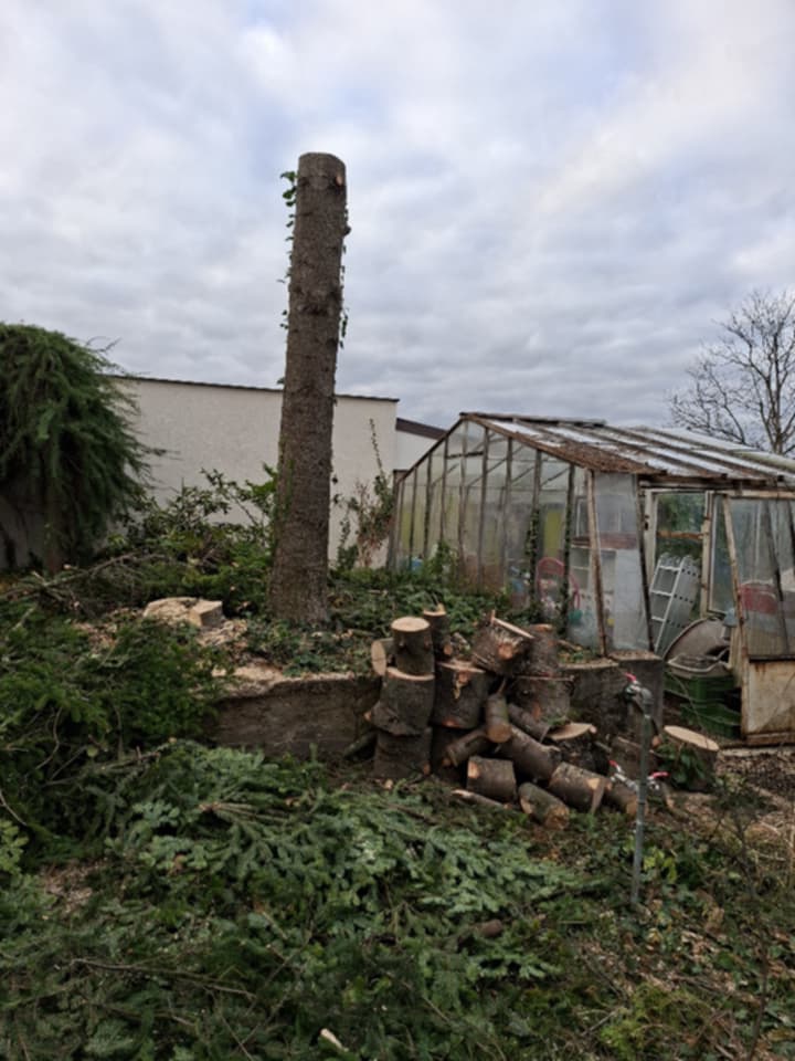 Celoročná údržba záhrad či pozemkov - 2