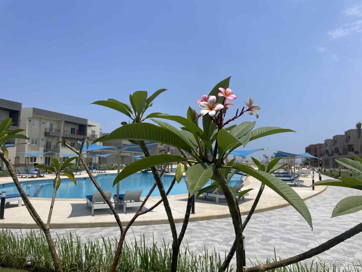 Apartman Panorama view Egypt - 2