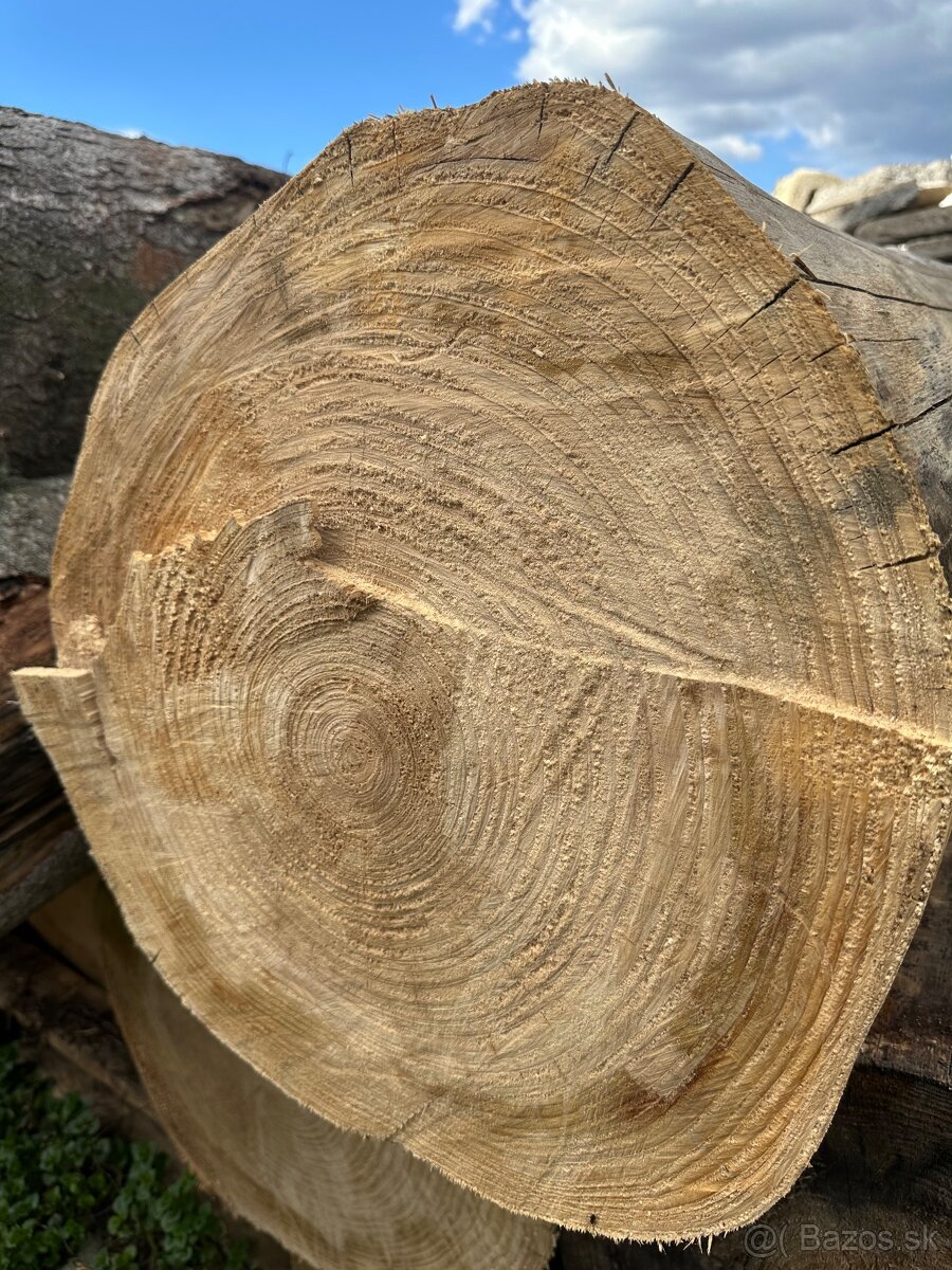 Predám kmene smrek - 2