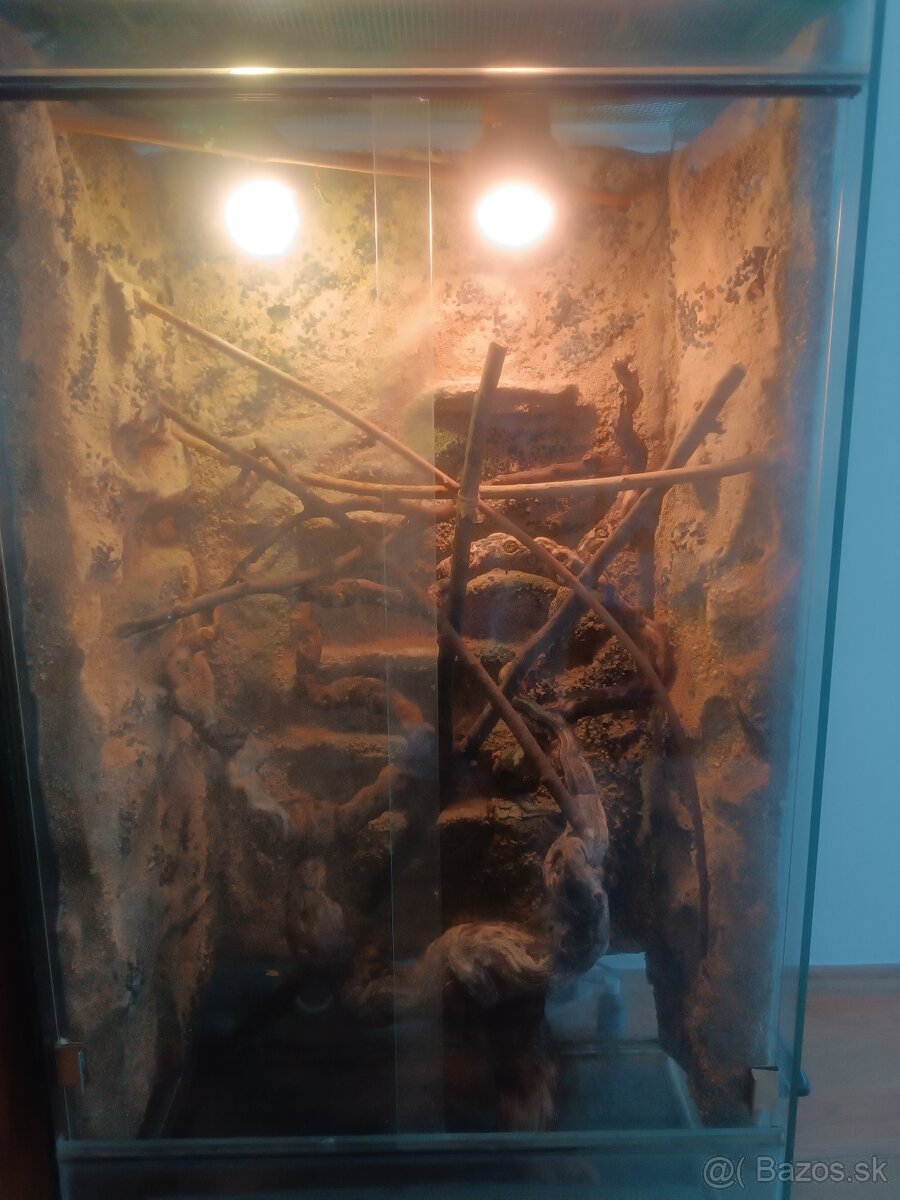 Terarium pre chameleóna - 2