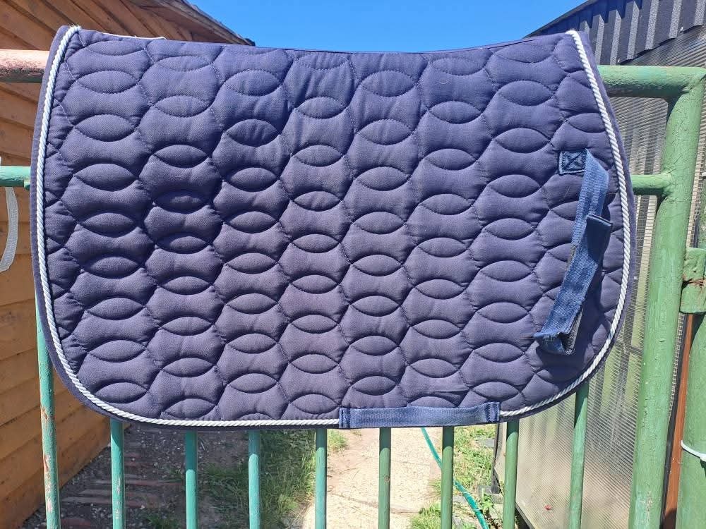 Podsedlovka anglická - 2