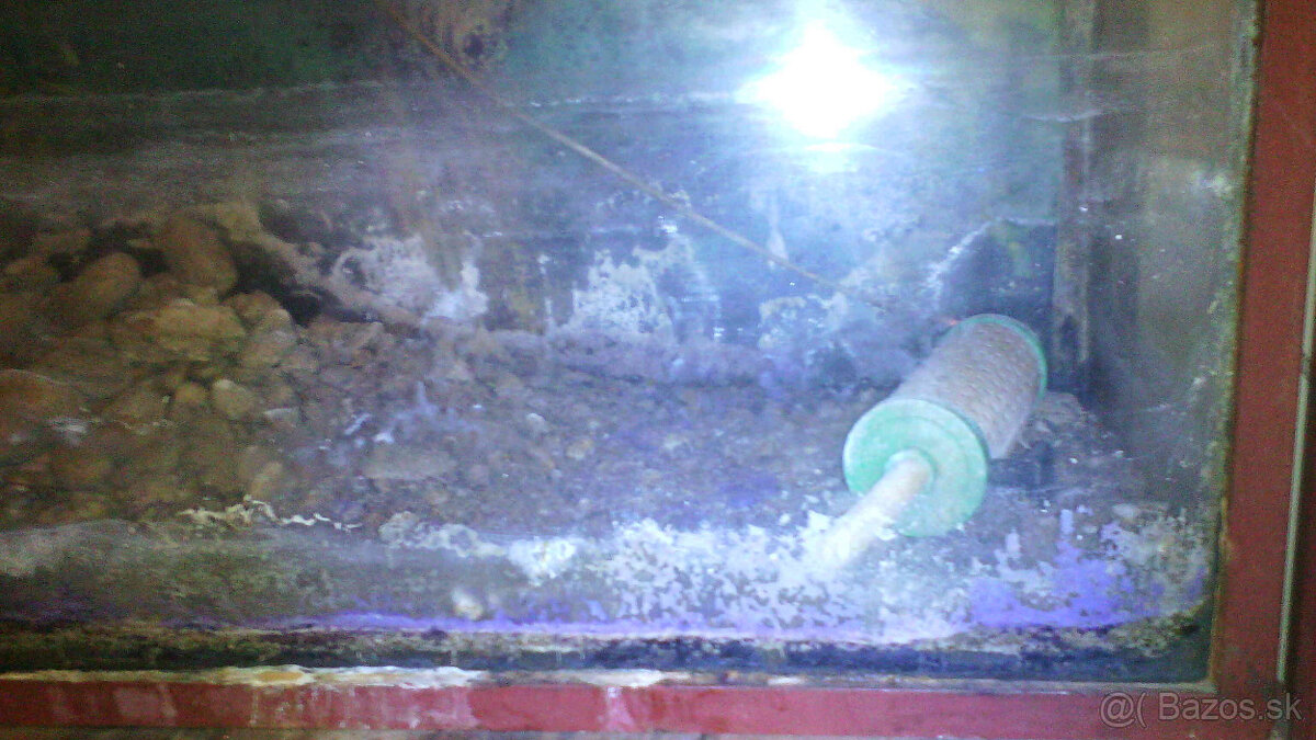 dve akváriá so stojanom 114 x 34 x 110 - 2