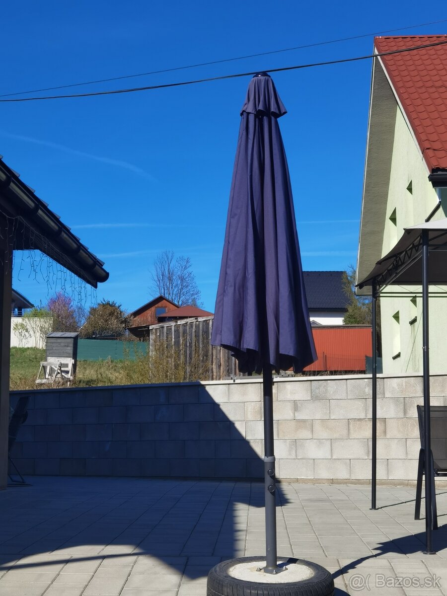 Slnečník - 2