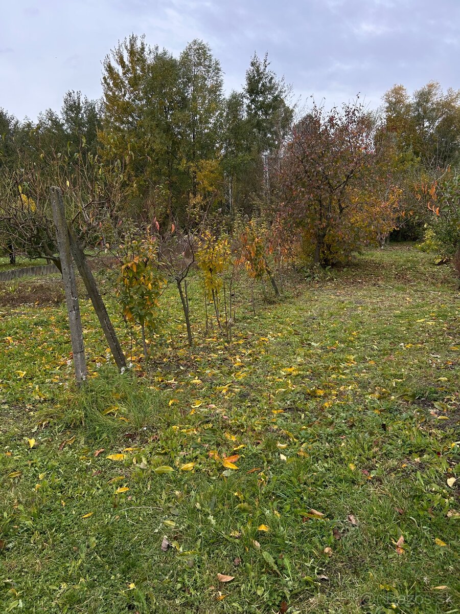 Záhrada vo Svätom Jure - 2