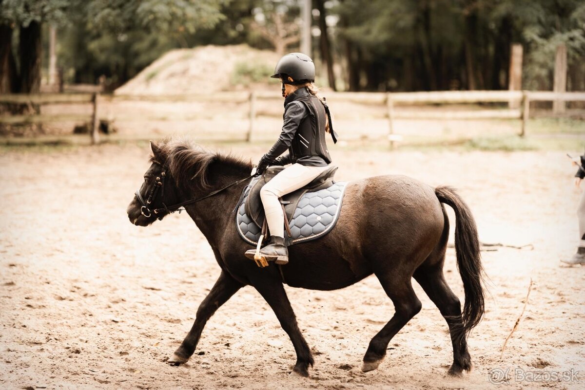 Poníky na predaj - 2