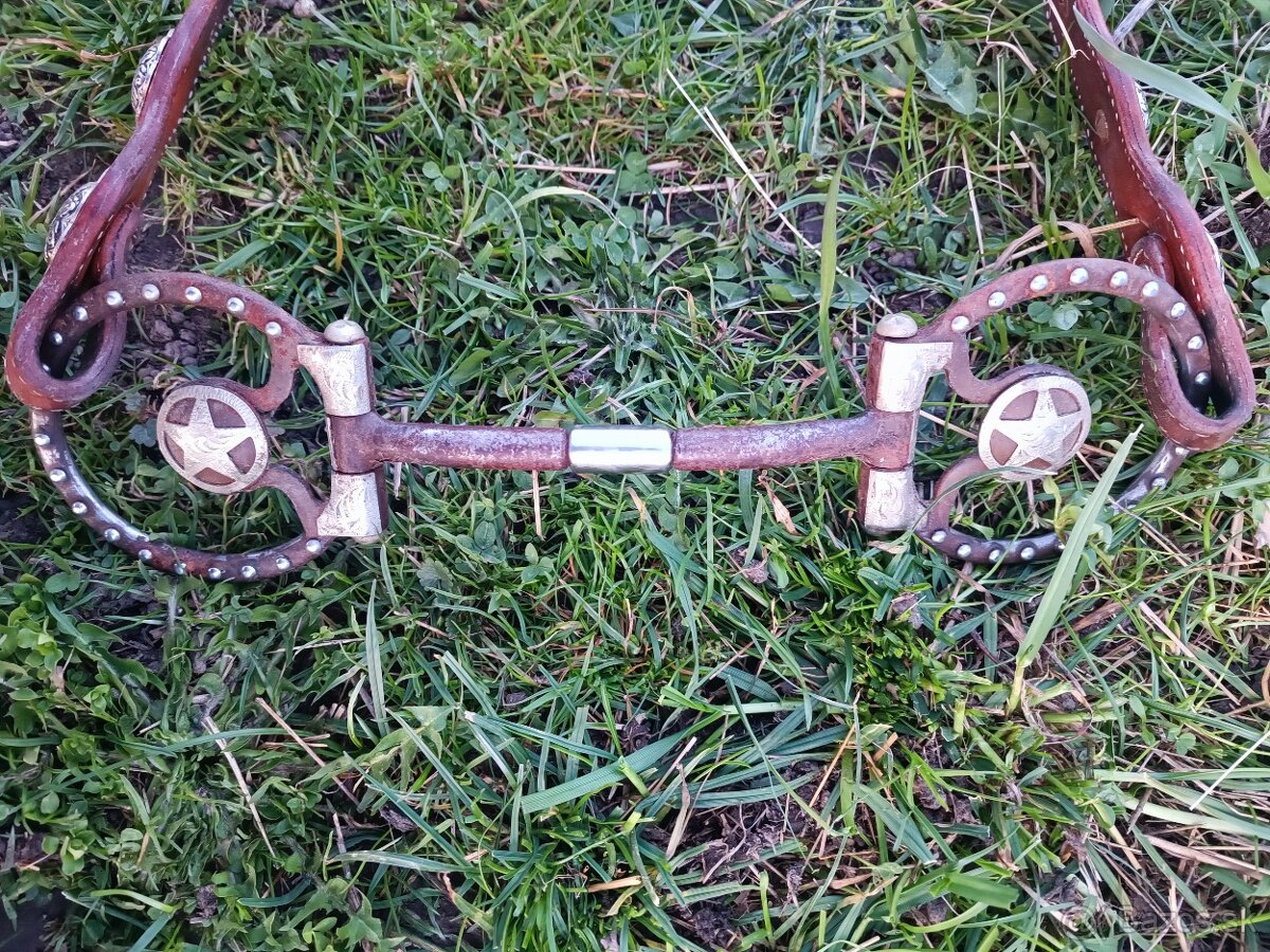 Westernové zubadlo - 2