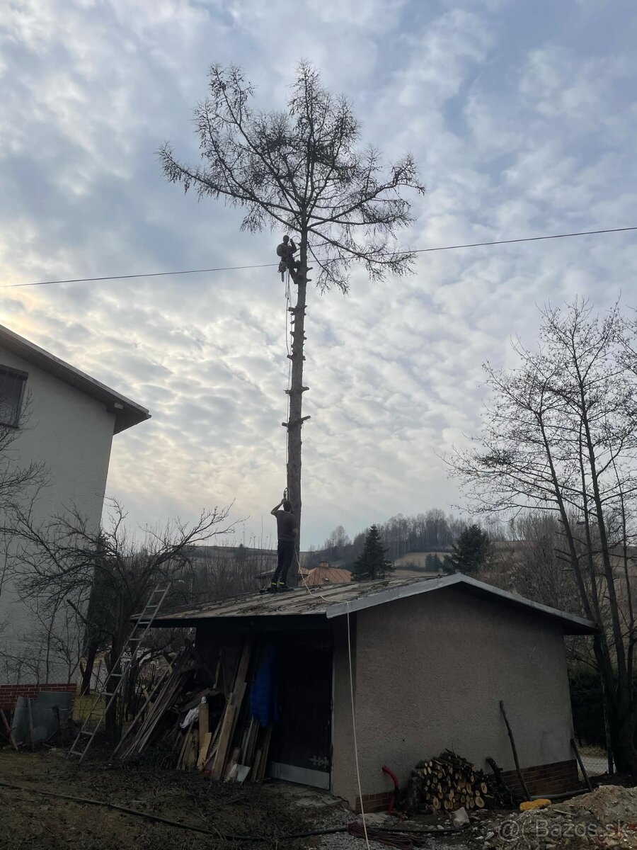 Rizikový vyrub - 2