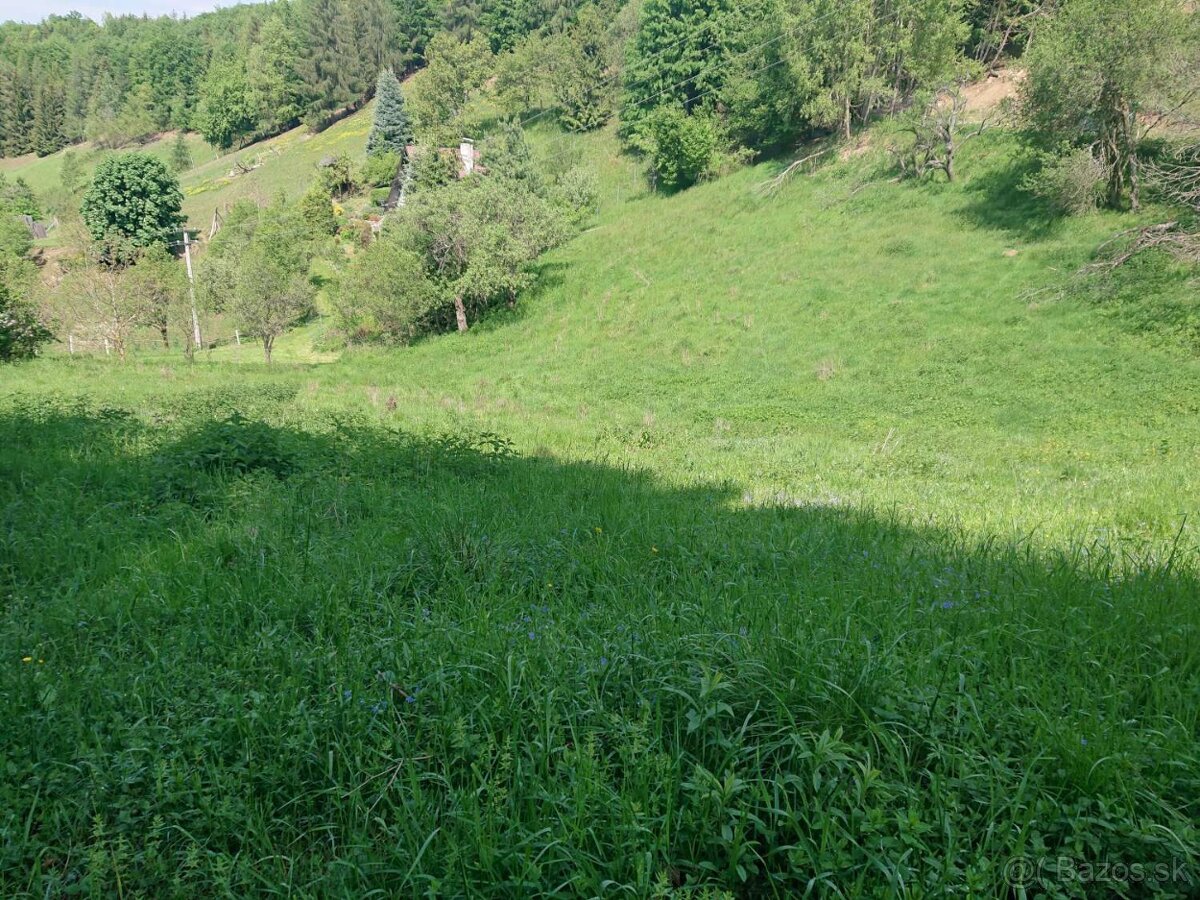 Hriňová, Uhlisko – stavebný pozemok v peknej prírode, 9941m2 - 2