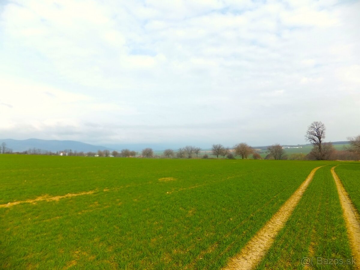 PNORF – orná pôda, 50220 m2, šírka 120 m, Suchá nad Parnou - 2