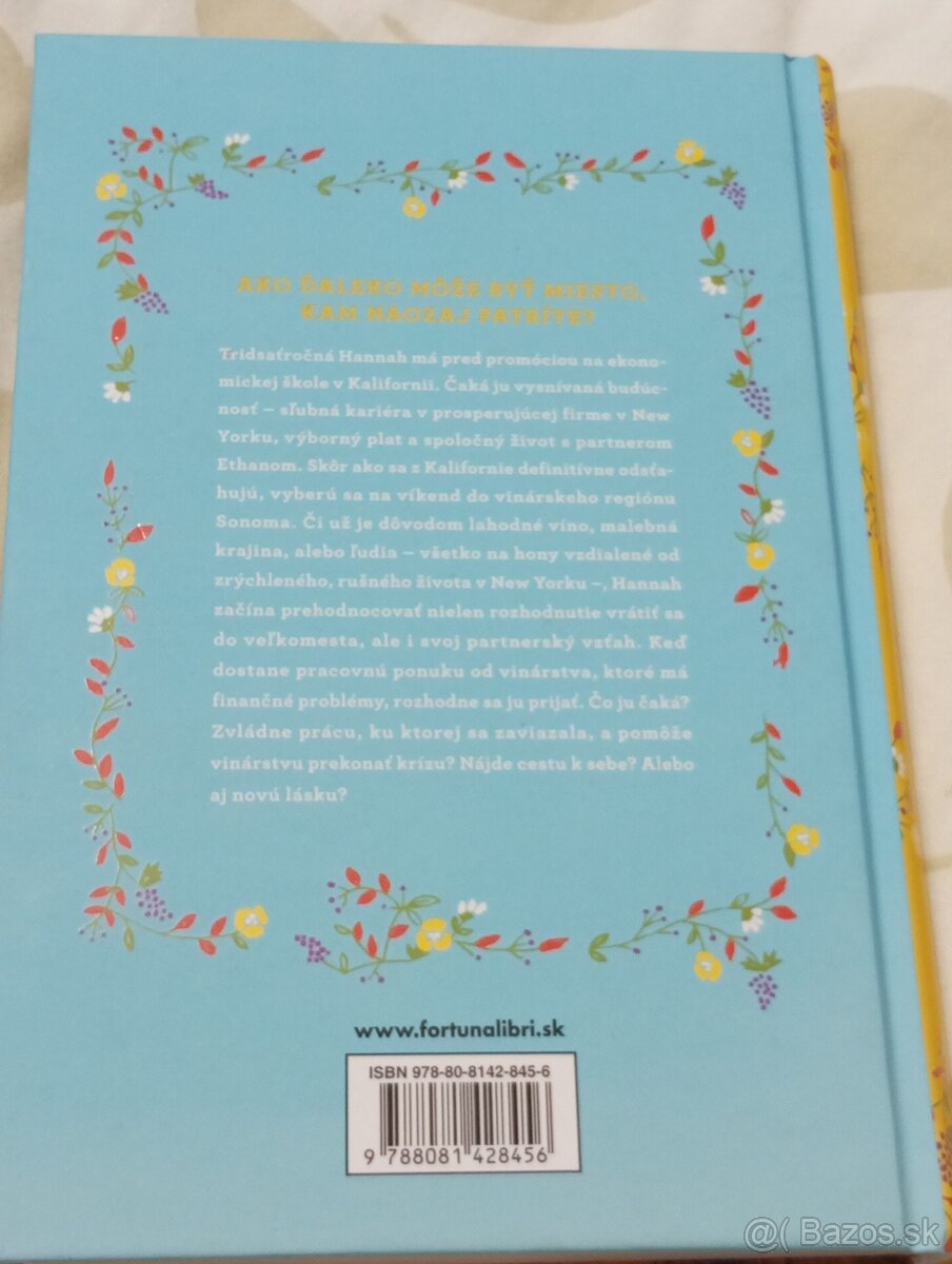 Najkratšia cesta domov - 2