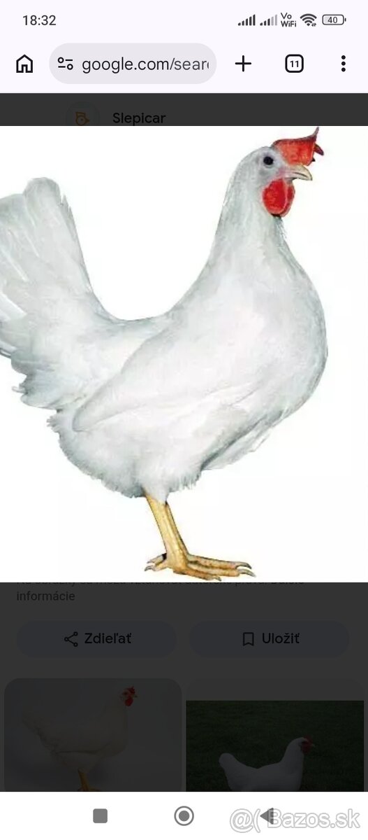 Kuriatka -kuričky - 2