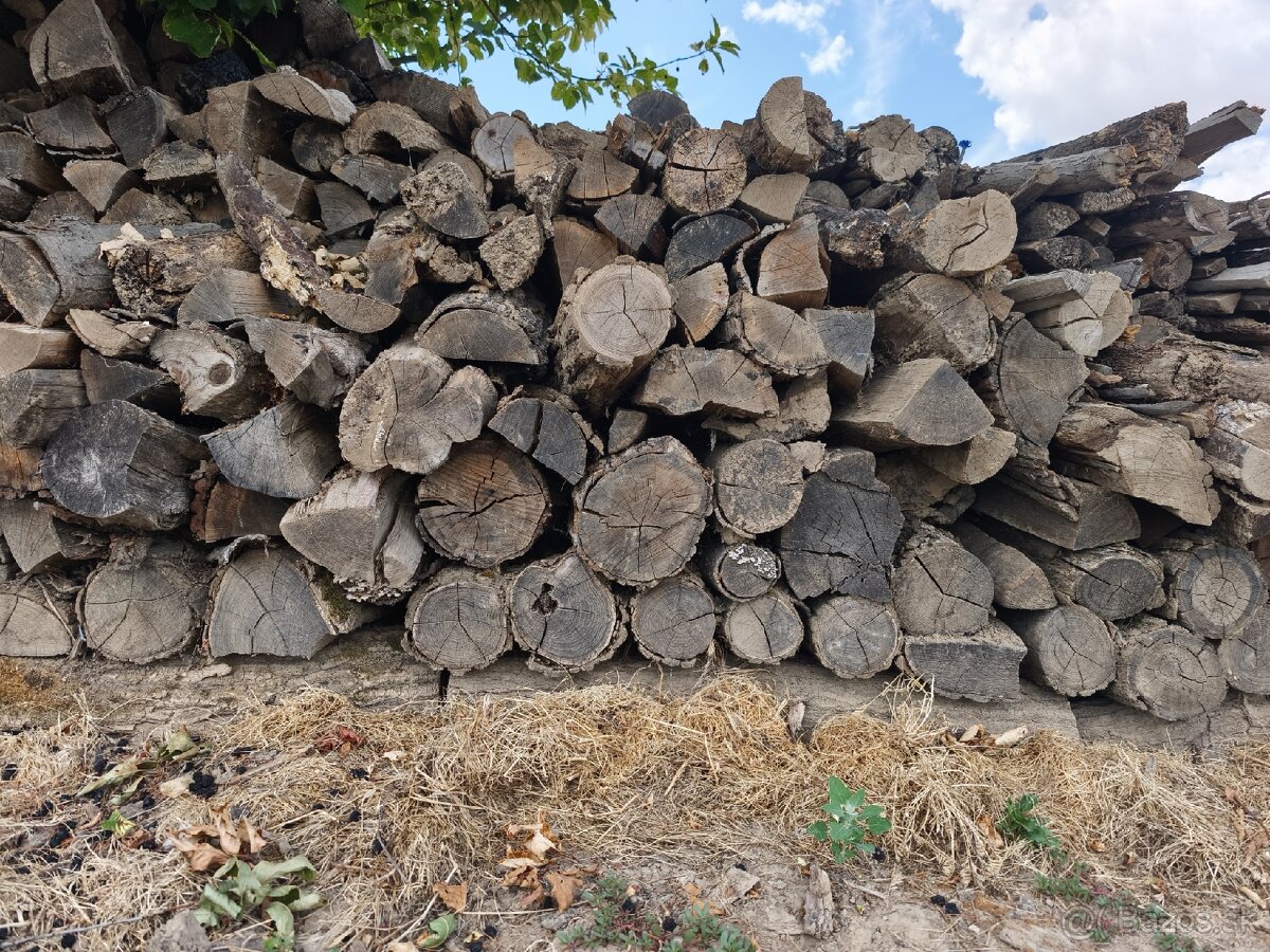 Palivové drevo agát - 2