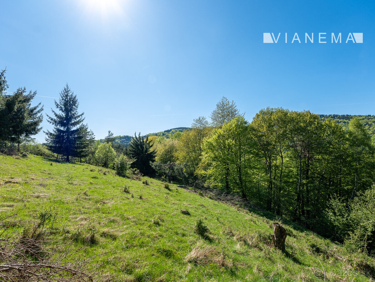 IBA U NÁS Pozemok na samote v lese - Lazy pod Makytou - 2
