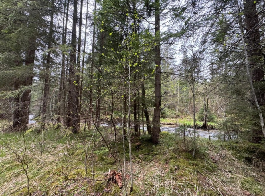 Rekreačný pozemok v chatovej oblasti – Važec, Pod Kopou. - 2