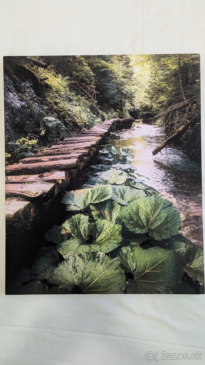 Fotoboraz zo Slovenského raja Tomášovská Belá - 2
