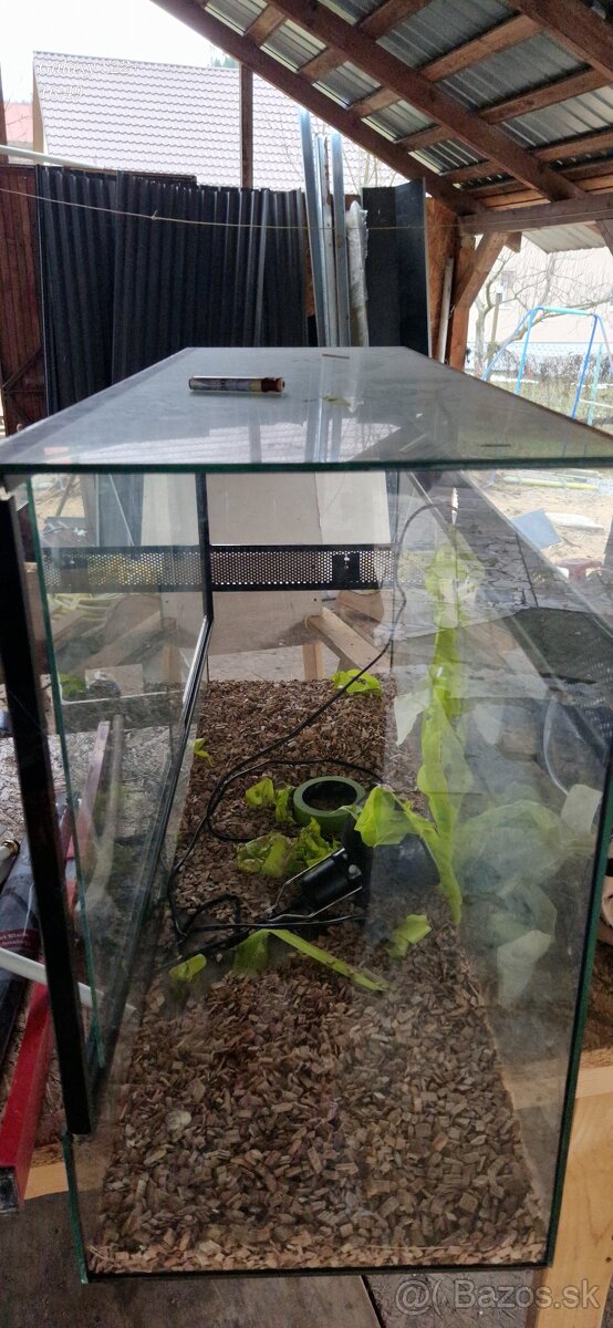 Predam terrarium - 2