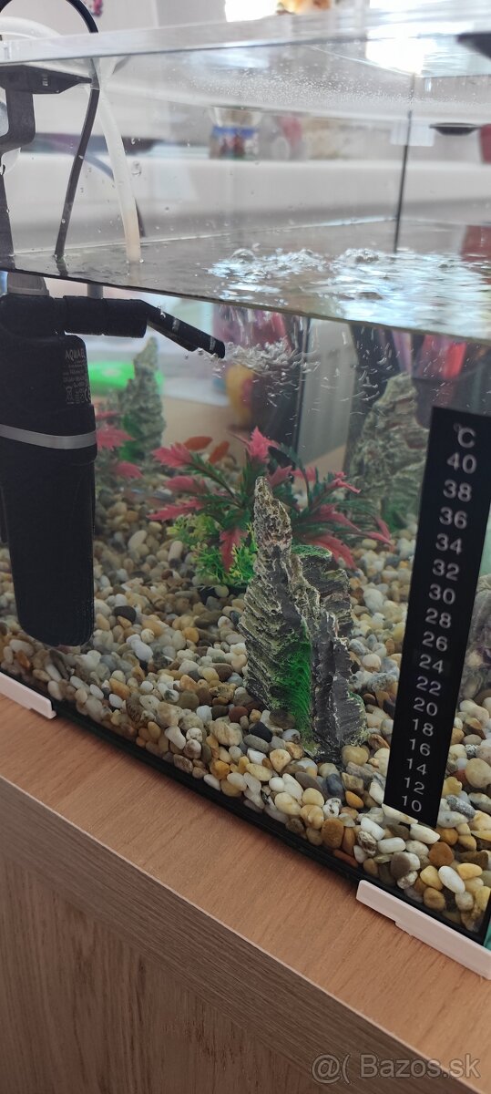 aquarrium 40x25x25 - 2